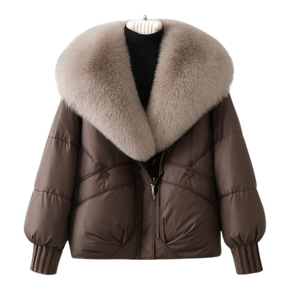 Structured puffer jacket with oversized collar for women | Elara