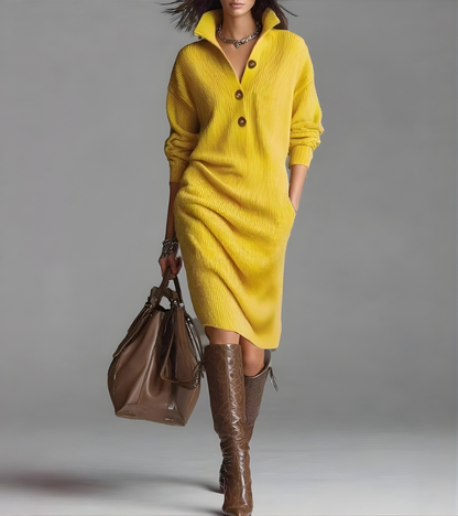 Margaux | Women's High Collar Button Front Knit Dress