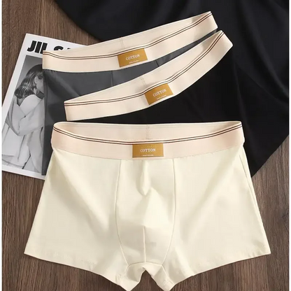 Soft cotton everyday boxer set for men | Cotton Theory