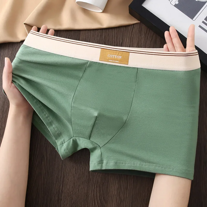 Soft cotton everyday boxer set for men | Cotton Theory