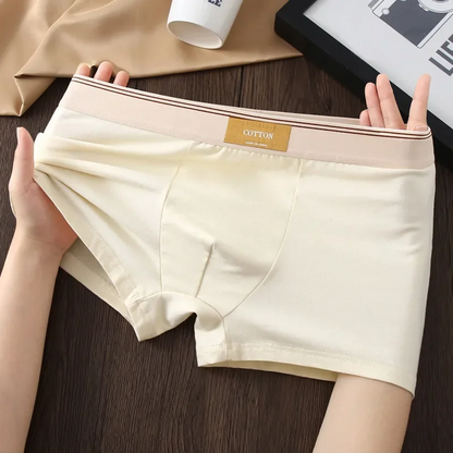 Soft cotton everyday boxer set for men | Cotton Theory
