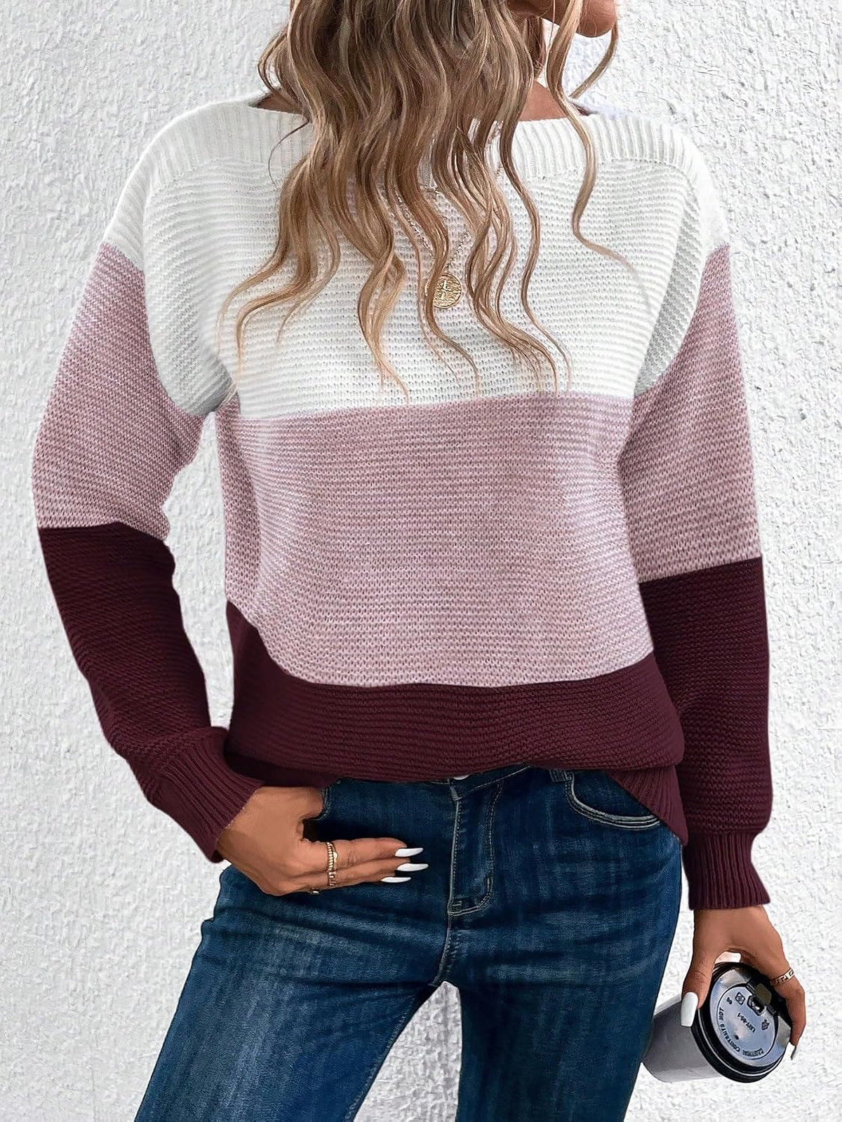 Gaia | Women's Color Block Crewneck Knit Sweater